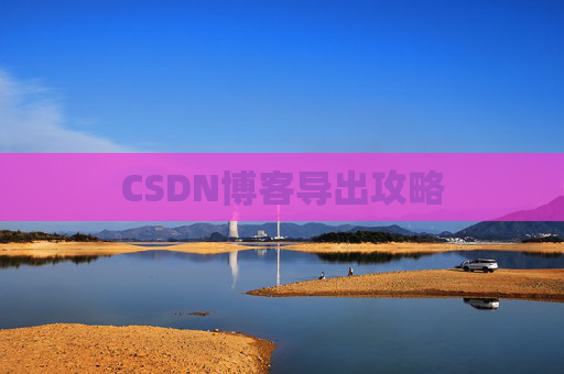 CSDN博客导出攻略